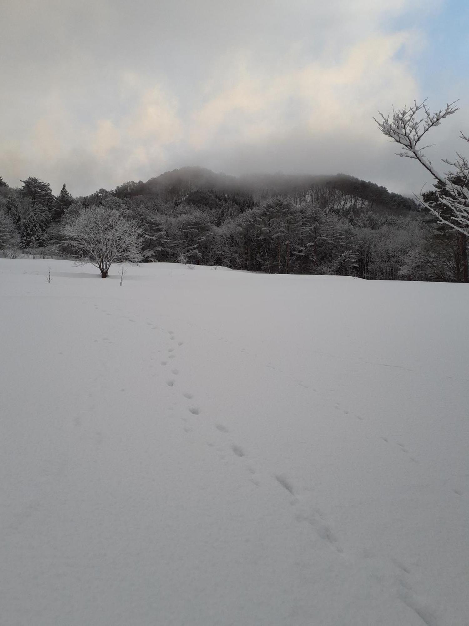 Tanehachi Farm Guesthouse - Vacation Stay 29709V Aomori Esterno foto